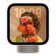 Apple HomeView